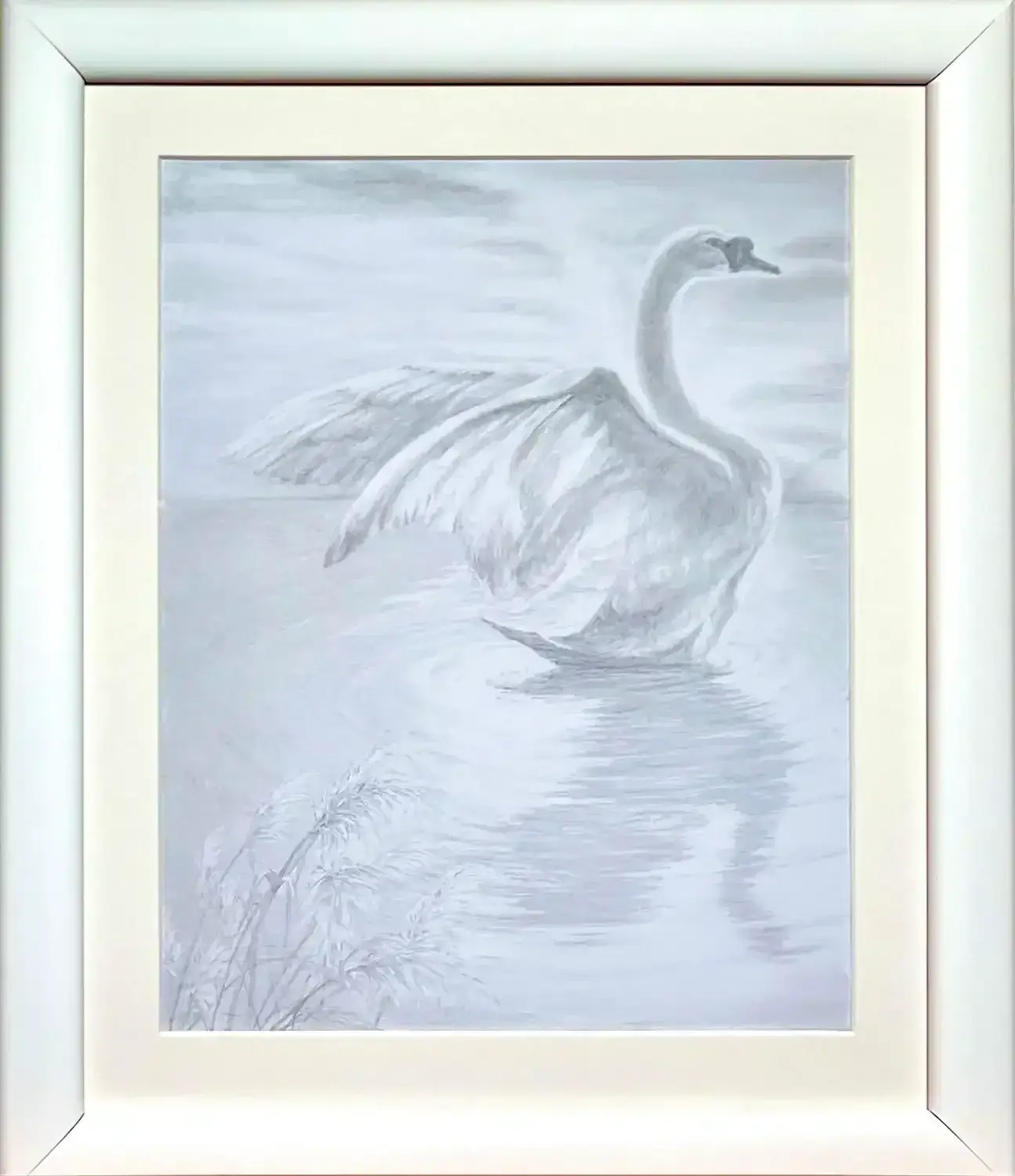 Swan in a Sunny Morning - Pencil on paper drawing, 24x19 cm