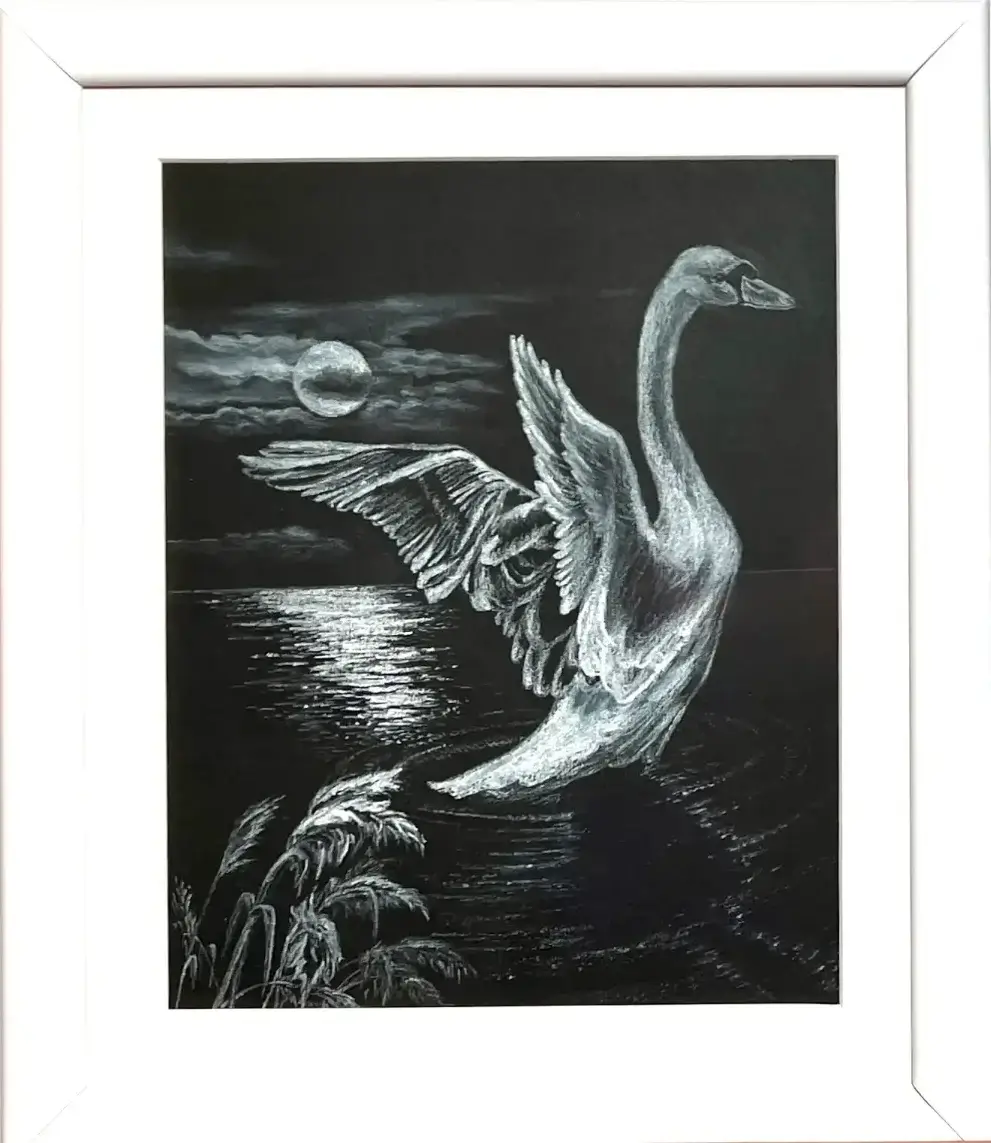 Swan in the Moonlight - White chalk on black cardboard drawing, 24x19 cm